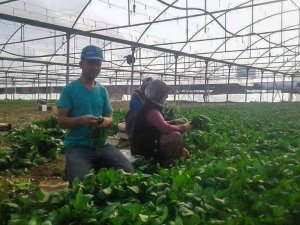 Uzman Ellere 250 Bin Tl Hibe Desteği