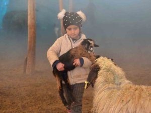 Faraşin Yaylası’nda Kalan Aslan Ailesinin Dört Çocuğu, Yaz-kış Demeden Ev İşlerini Sırtlıyor