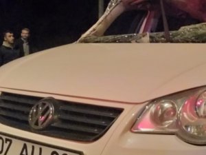 Tavşanlı’da Trafik Kazası: 1 Yaralı