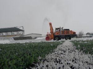 Kar Kaplanları Yeşil Sahalara İndi