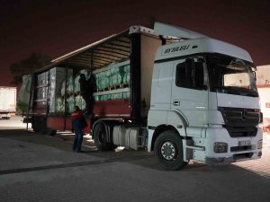 Tarsus Belediyesi, Depremzede Ailelerin Yaralarına Merhem Oluyor