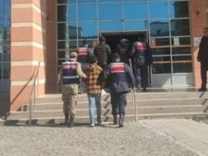 Yayla Evlerinden Hırsızlık Yapan 4 Şüpheli Tutuklandı