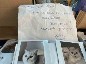 Almanya’da Yaşayan Gurbetçi, Depremzede Sokak Hayvanlarını Unutmadı
