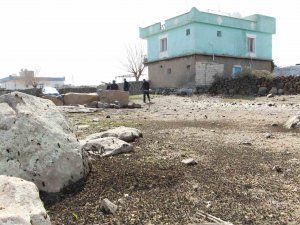 Köyleri İstila Eden Tırtıl İle İlgili Çalışmalar Devam Ediyor