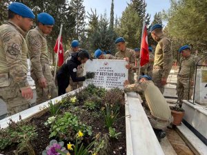 Depremde Tahrip Olan Şehitliği, Komandolar Ve Afad Onardı