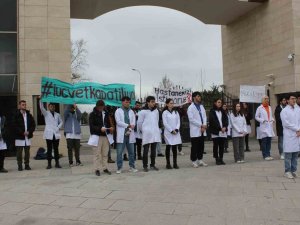Veterinerlik Fakültesi Öğrencilerinden Hayvan Hastanesi Eylemi