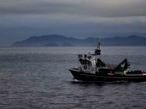 Ab’den Okyanusların Korunması İçin 816,5 Milyon Euro Destek