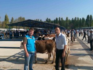 Simav’da Bahar Dönemi Şap Aşılama Çalışmaları Sürüyor