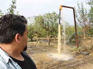 Narenciye Üreticisi Bahçe Sularken Fark Etti: “Su Çamurlu Akmaya Başladı”