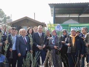 Yunusemre Belediyesi Üreticisine 35 Bin Fidan Dağıttı