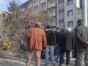 Otomobilin Çarptığı Ağaç Devrildi: 1 Yaralı