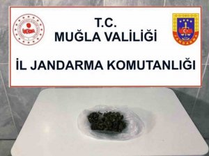 Uyuşturucu Taciri Narkotik Köpek ‘Kaptan’dan Kaçamadı