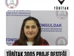 Öğretim Elemanına Tübi̇tak 3005 Programı Desteği
