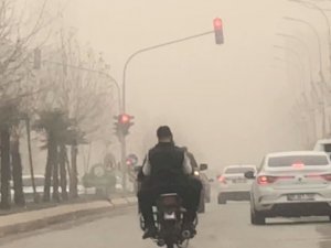 Toz Bulutu Ceylanpınar’da Hayatı Olumsuz Etkiledi