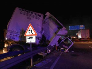 Şoför Önüne Çıkan Hayvana Çarpmamak İçin Manevra Yaptı, Tır Devrildi