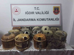Iğdır’da Kaçak Keklik Avcılarına 102 Bin 75 Lira Ceza