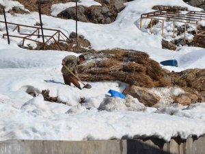 Doğuda Kış Çilesi Devam Ediyor