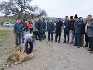 Balıkesir’de Barajlar Dolsun Diye Adak Kesildi