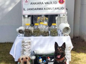 Başkentte Uyuşturucu Operasyonu