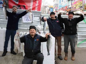 Tezgahların En Pahalısı Kalkan, En Ucuzu İse Mezgit