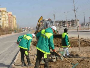Ereğli’de Park Ve Bahçelere Gül Dikimi