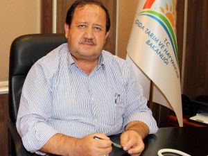 Samsun’da 3 Bin 617 Ruhsatlı Balıkçı Ve 470 Tane De Balıkçı Teknesi Var