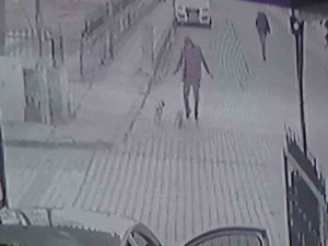 İ̇ki Minik Köpeğin Kovaladığı Adam Böyle Kaçtı