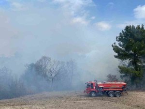 Osmaniye’de Ormanlık Alanda Yangın Çıktı