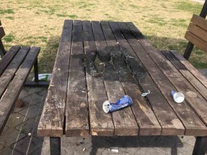 Köyceğiz’de Parkta Bulunan Kimliği Belirsiz Kişiler Tarafından Yakıldı