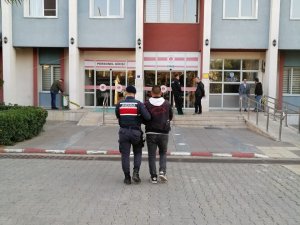 75 Bin Dolar Para Çaldı, Jandarmadan Kaçamadı