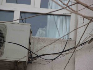 Hasarlı Binada Mahsur Kalan Kedi İtfaiyeyi Harekete Geçirdi