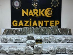 Gaziantep’te 28 Kilo 400 Gram Skunk Ele Geçirildi