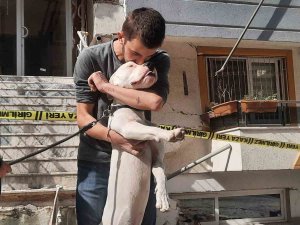Kahraman Köpek ’Dora’, Deprem Anında Kendisini Siper Ederek Sahiplerini Korudu