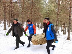 Ardahan’da Yaban Hayatı İçin Doğaya Yem Bırakıldı