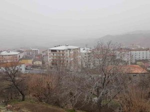 Depremin Ardından Kulp’a Göç Başladı