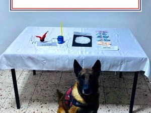 Narkotik Köpek ‘Kont’ Destekli Uyuşturucu Operasyonu
