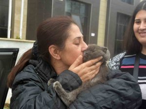 Depremzede Aile 28 Gün Sonra Kedisine Kavuştu