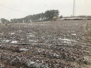 Denizli Baharı Karla Karşıladı