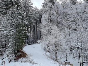 Kütahya’nın Domaniç Dağı’na Mart Karı