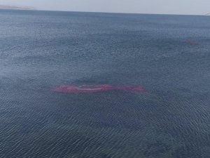 Rüzgarda Van Gölü’ne Düşen Dev Türk Bayrağı Sahil Güvenlik Ekiplerince Çıkarıldı