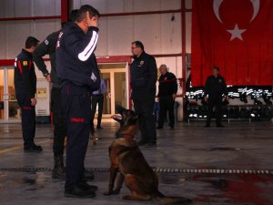 İ̇tfaiye Erinin Eğittiği Arama Kurtarma Köpekleri 18 Kişinin Hayatına Dokundu