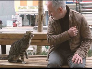 Gürsu’nun ‘Tatlı Serseri’si Vatandaşın Maskotu Oldu