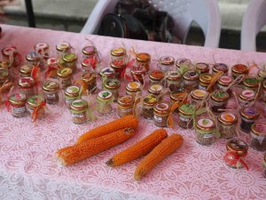 Bolu’da Üretilen Ata Tohumları Deprem Bölgelerine Gönderilecek