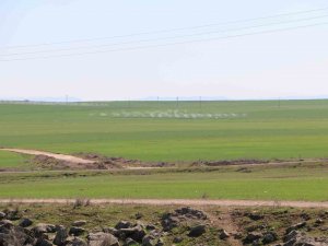 Yer Altındaki Canlılar Depremi Öncesinden Hissettiği İçin Zararı Minimum Yaşadı
