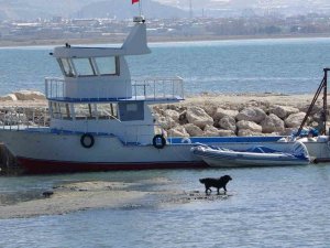 Van Gölü Seviye Kaybediyor: Sahildeki Kum Adalarının Sayısı Arttı