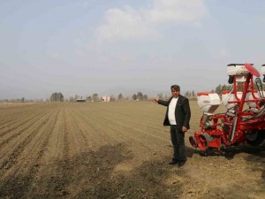 Kozan Ziraat Odası Başkanı Şahbazoğlu: "Mısırda Verim Düşüklüğü Yaşanabilir"