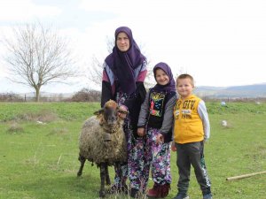 Kadın Üreticiler Destekleniyor