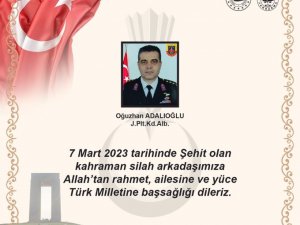Jandarma Pilot Kıdemli Albay Adalıoğlu Pervane Çarpması Sonucu Şehit Oldu