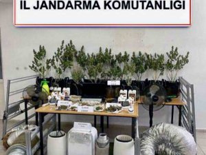Jandarmadan Dalaman’da Uyuşturucu Operasyonu
