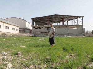 Deprem Sonrası Tarlasında Üretime Başladı
